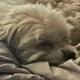 Steven profile