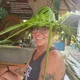 Roberta profile