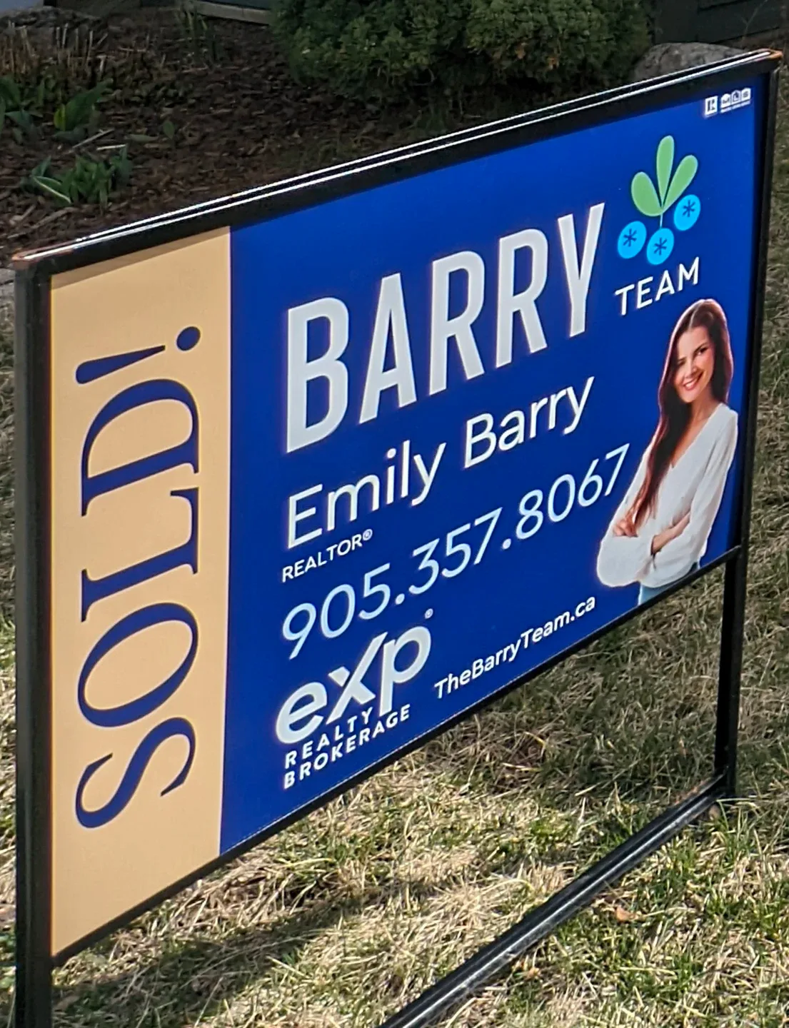 Chris Randall profile