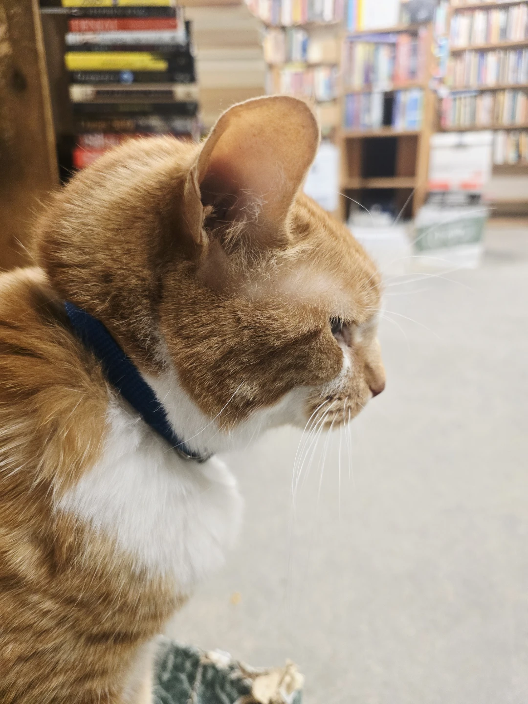 Esther profile