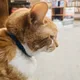 Esther profile
