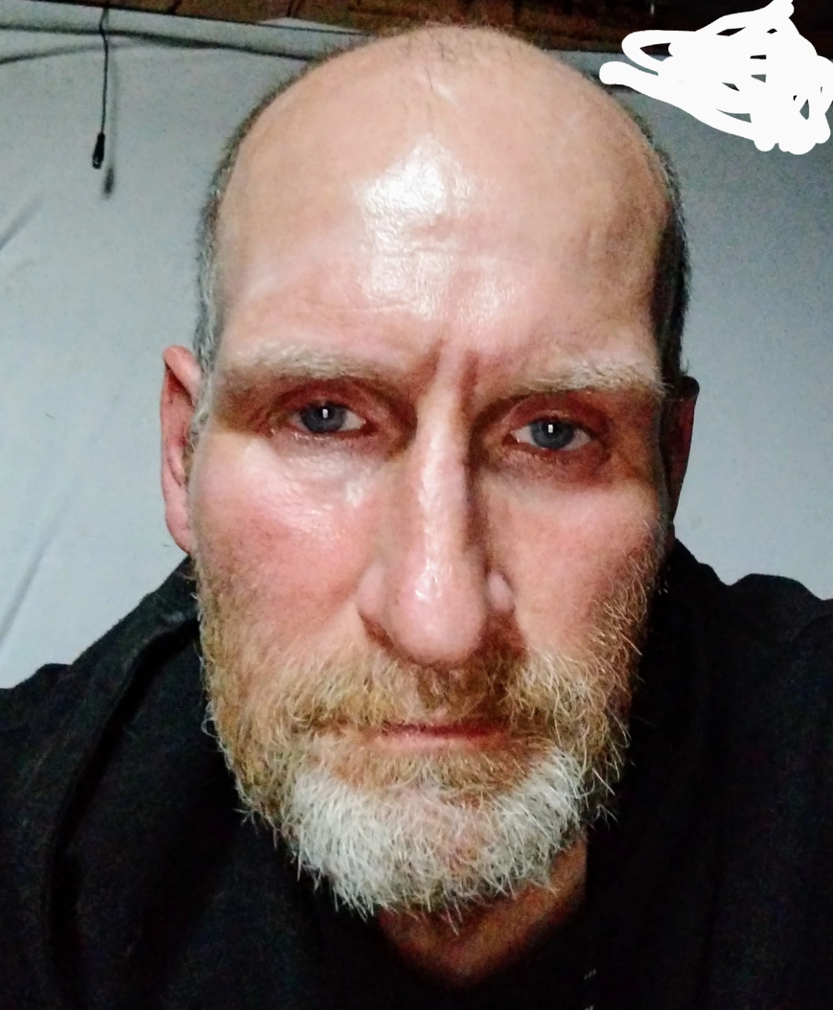 Dave profile