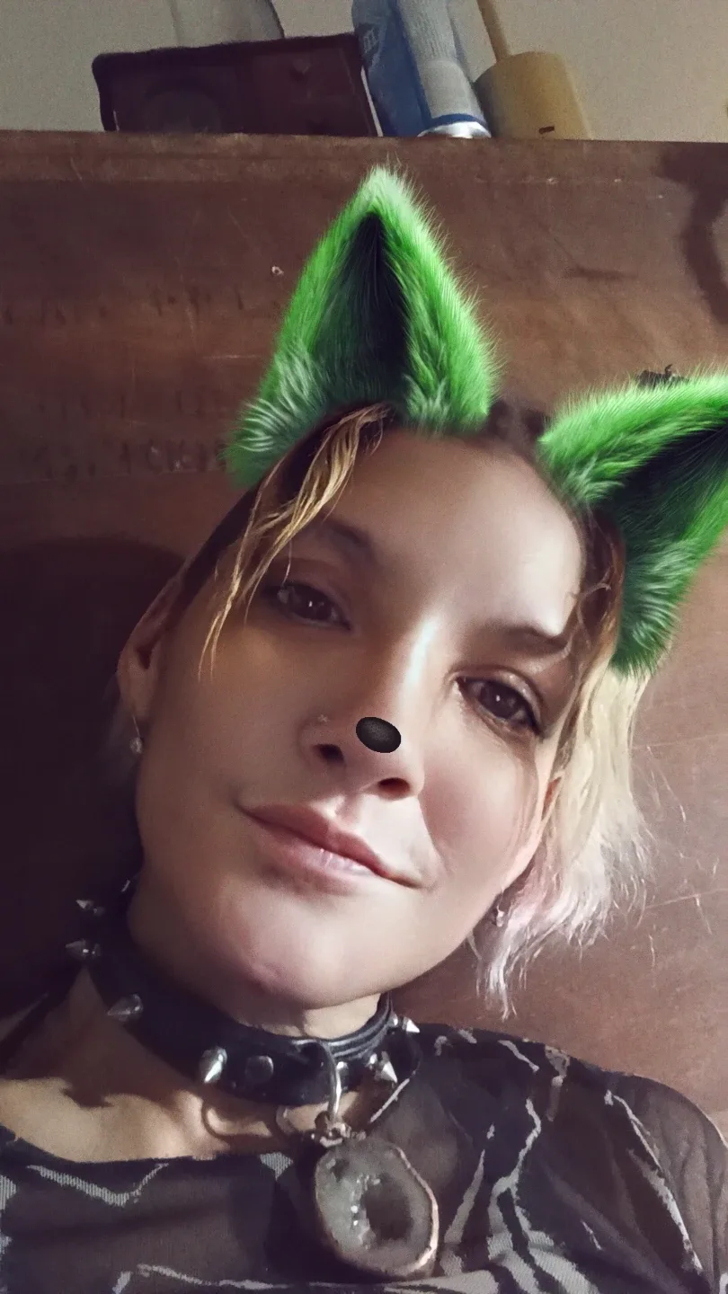 Veronica galambos profile