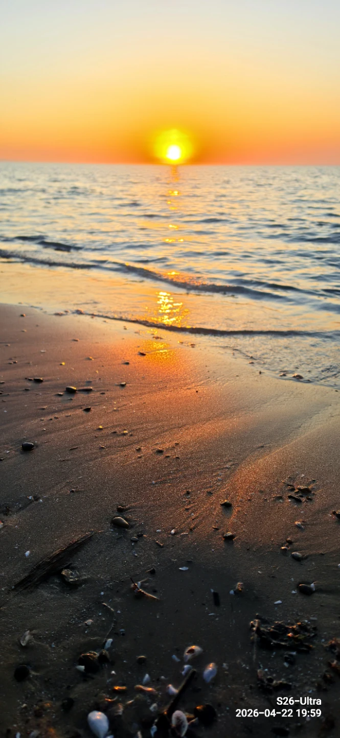 Jaiden Allen profile