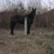 Eder profile