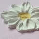Rose profile
