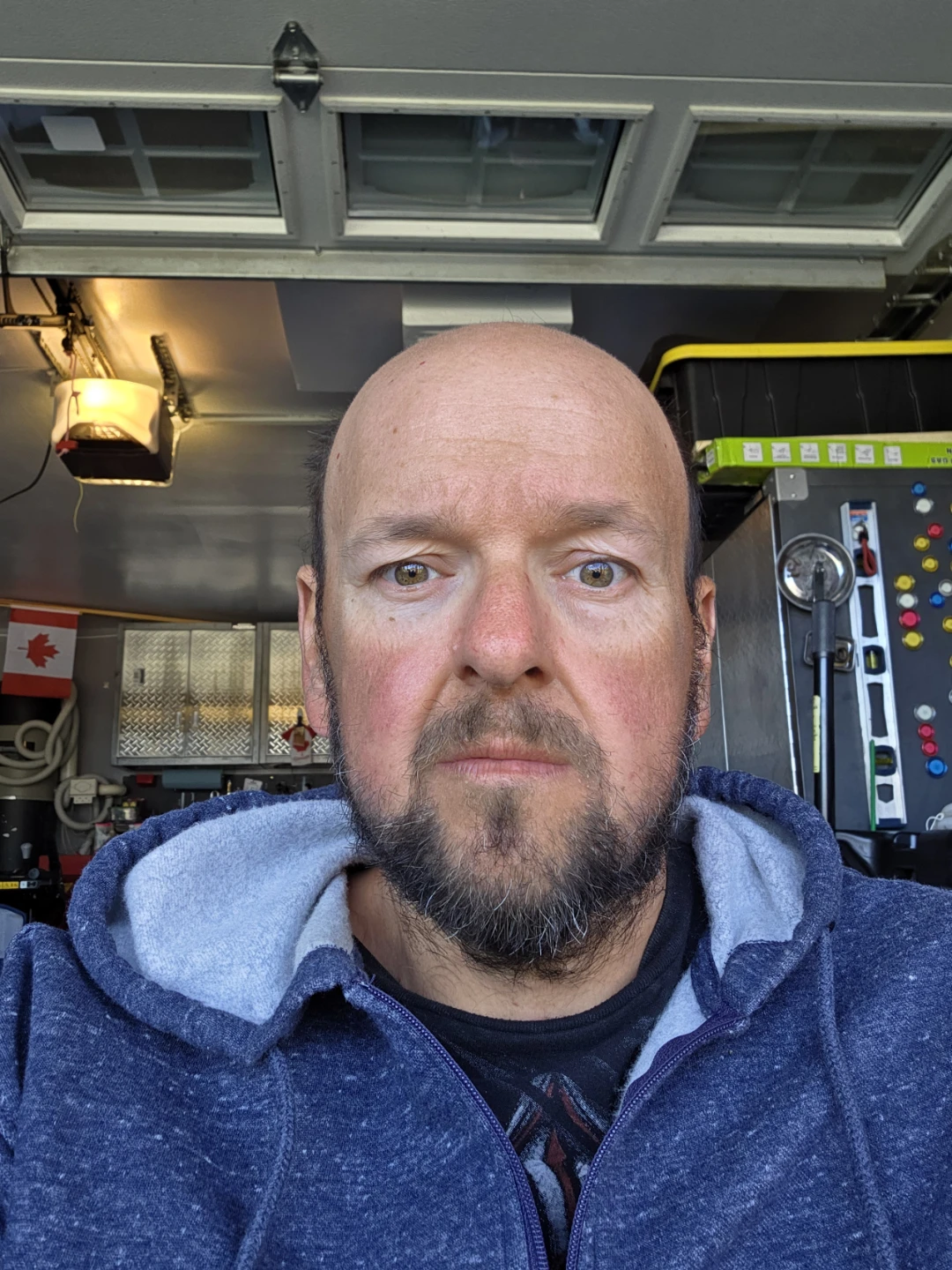 Adam profile