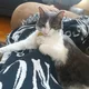 Ausi profile