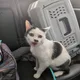Finn profile