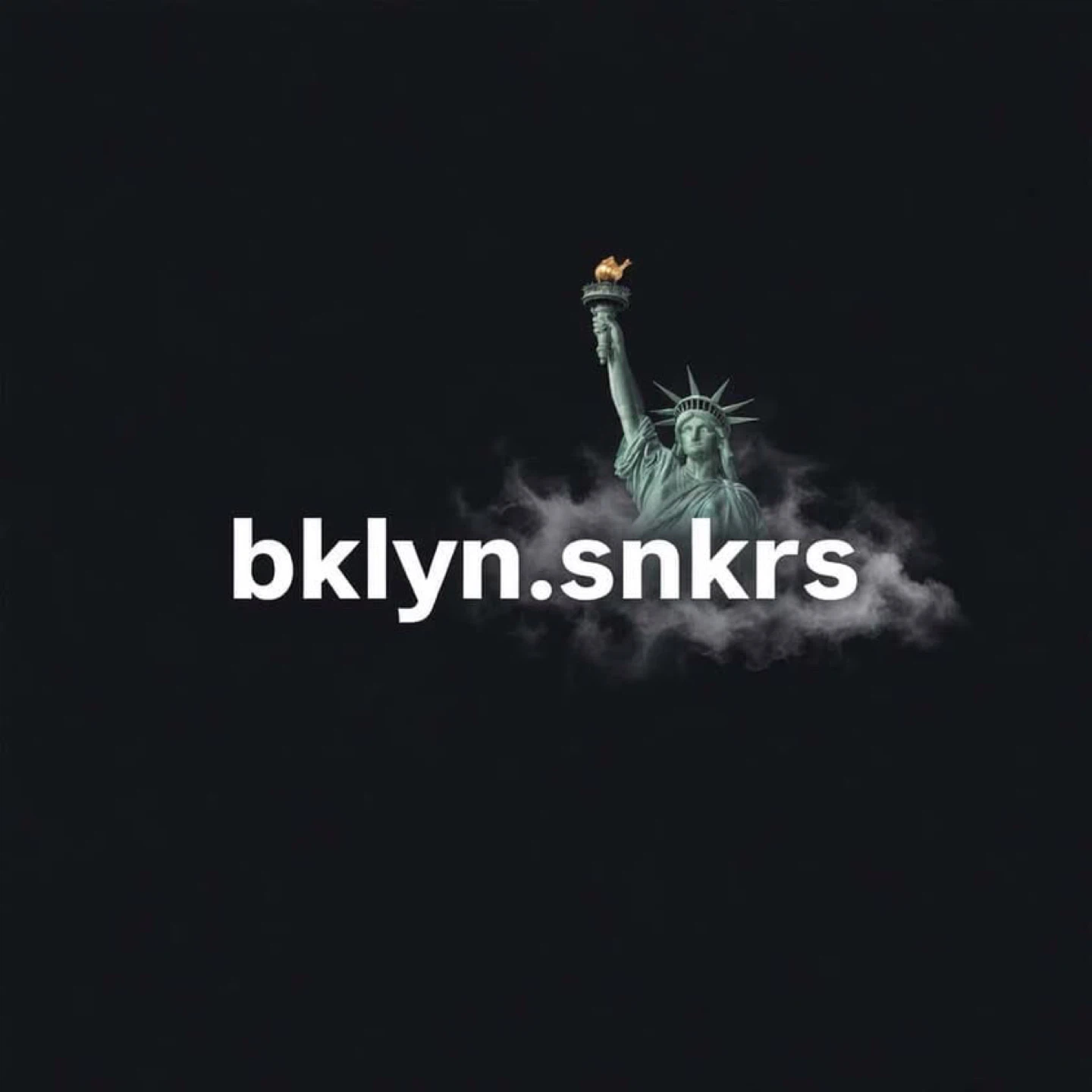 Bklynsnkrs profile