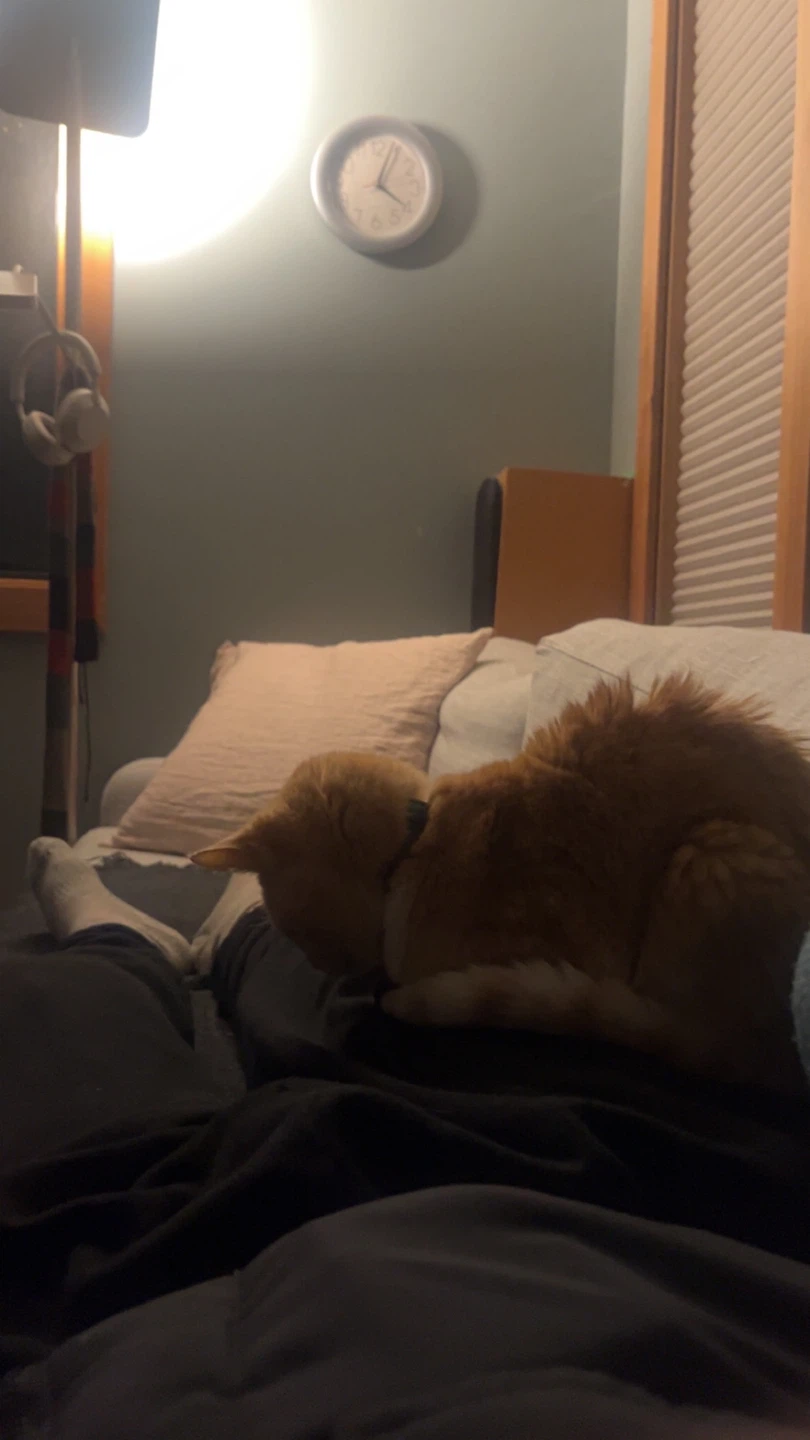 Jeremy profile