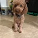 Aniya profile