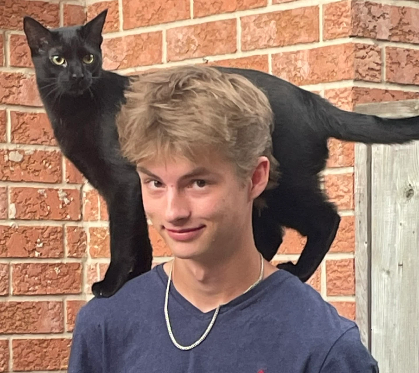 Nelson profile