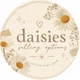 Daisies profile