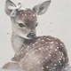 Khoula profile