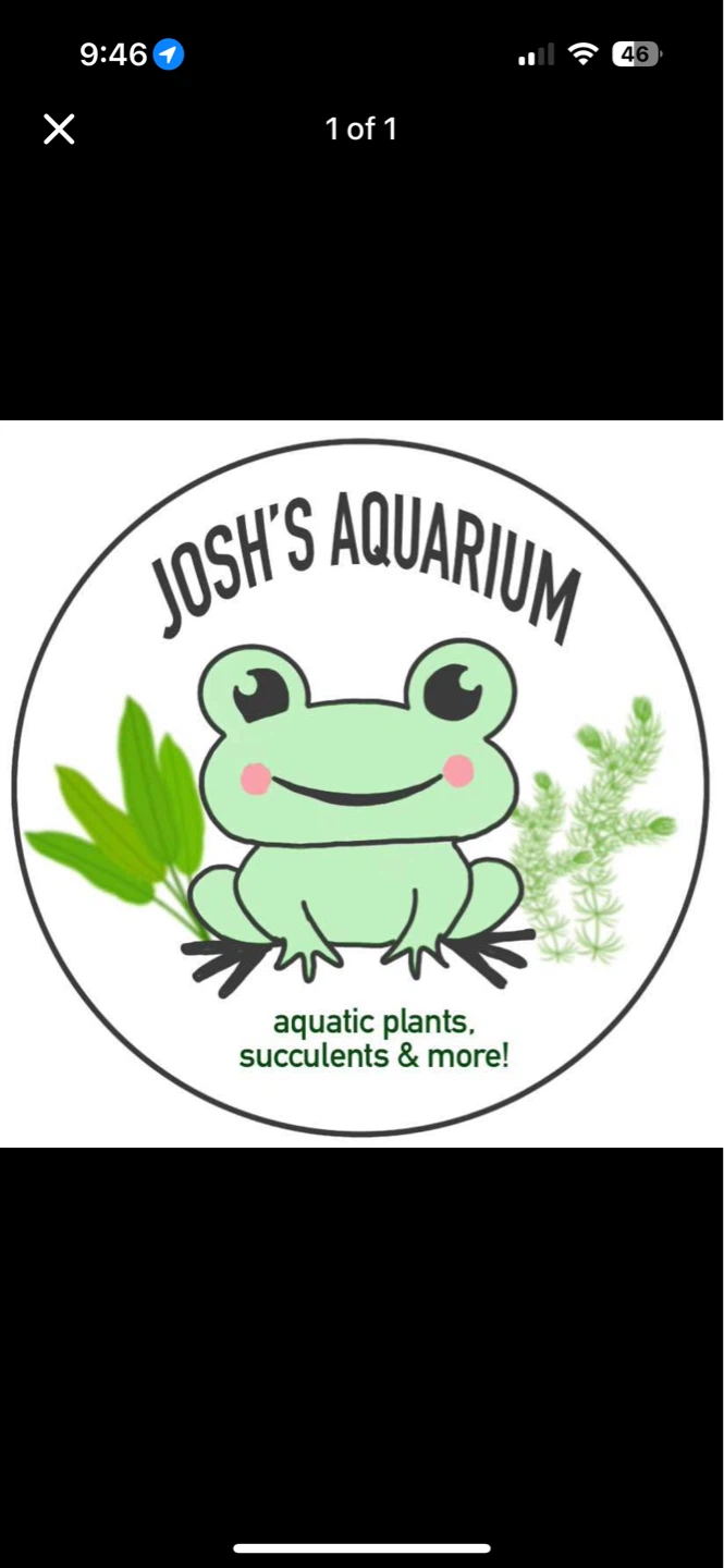 Josh profile