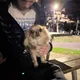 Max profile