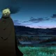 Larp profile