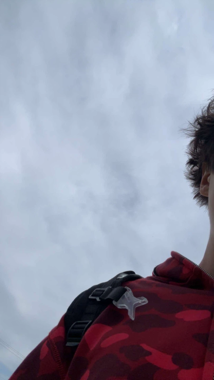 Brady profile