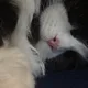 So profile