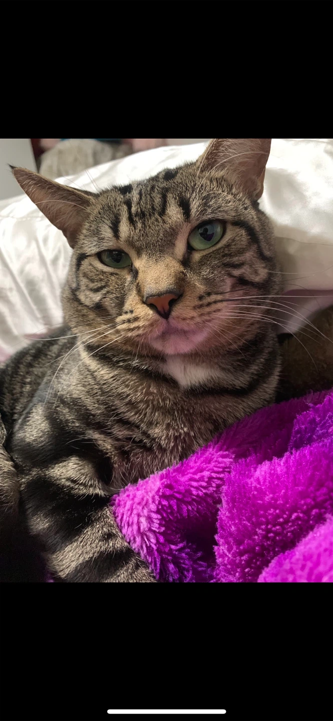 Max profile