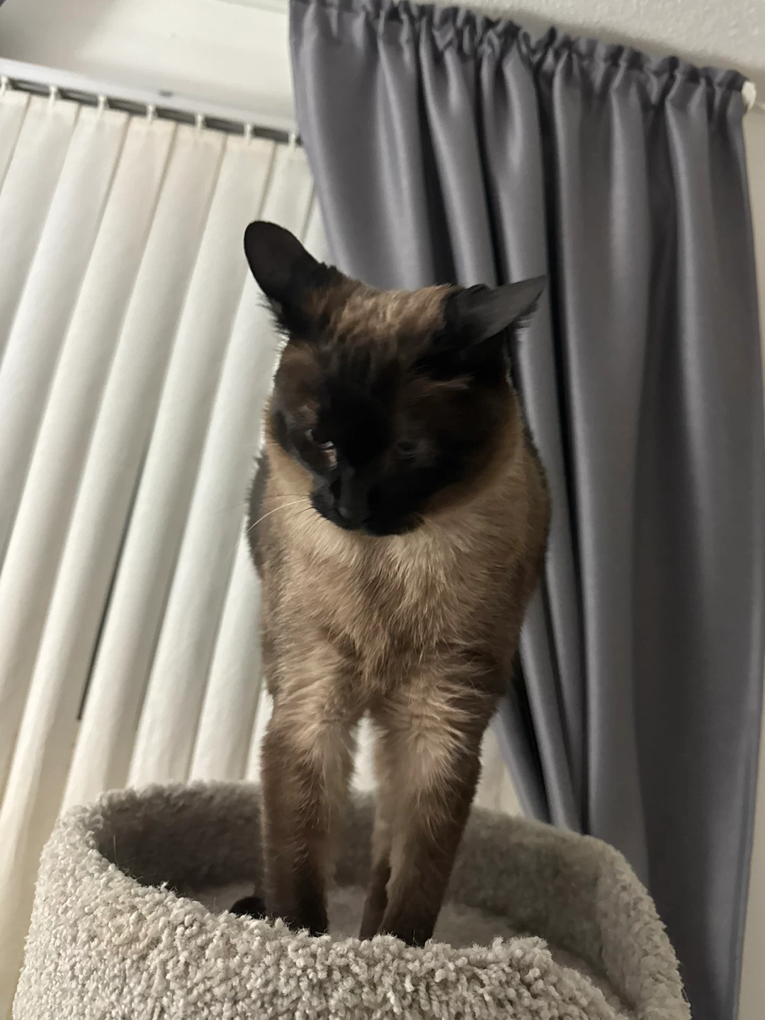 Bill profile