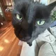 Steve profile