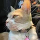 Annabelle profile