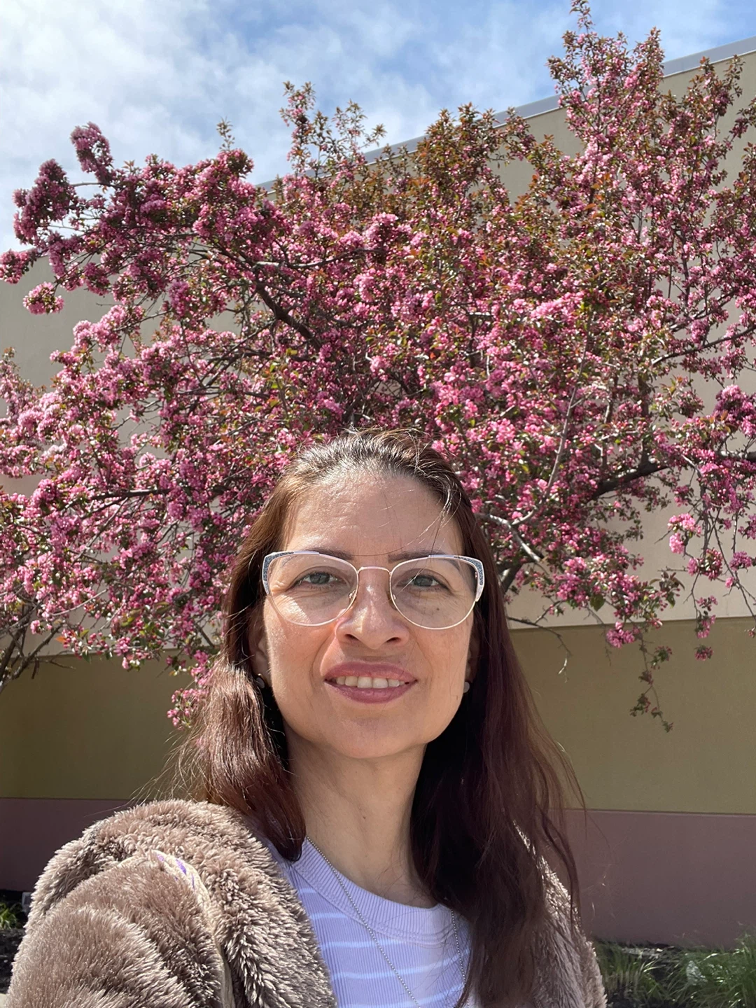 Karinazum profile