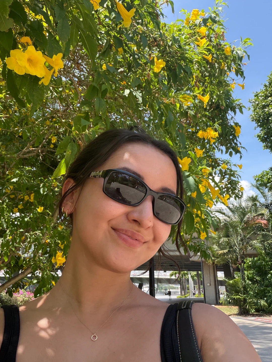 Aina profile