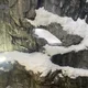 Dante profile