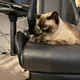 Dexter profile