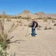 Scott profile