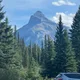 Dev profile