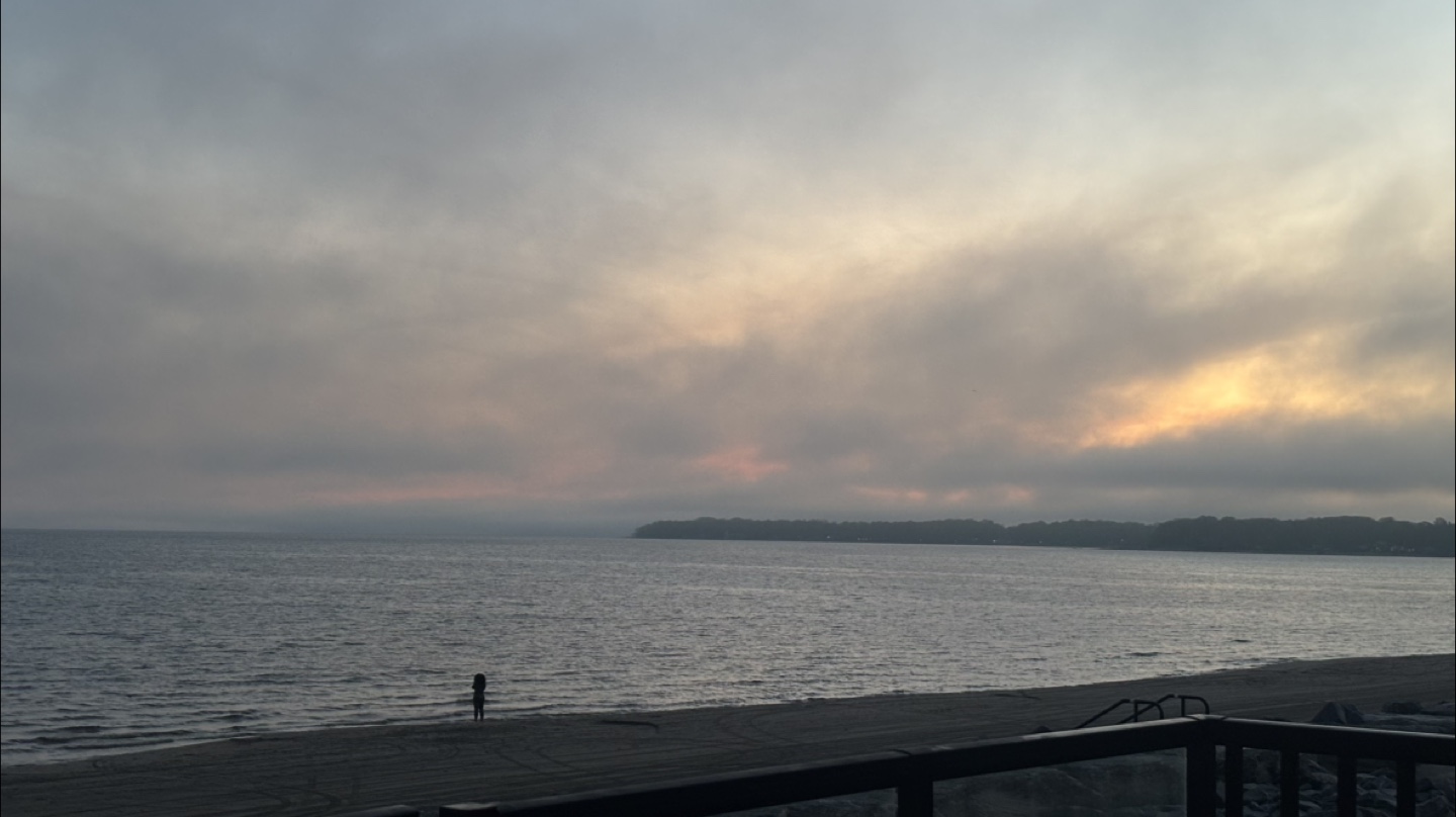 Maria profile