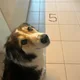 Kaz profile