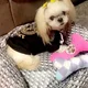 Starr profile
