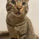 Fatima profile