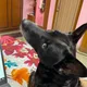 Sejuti profile