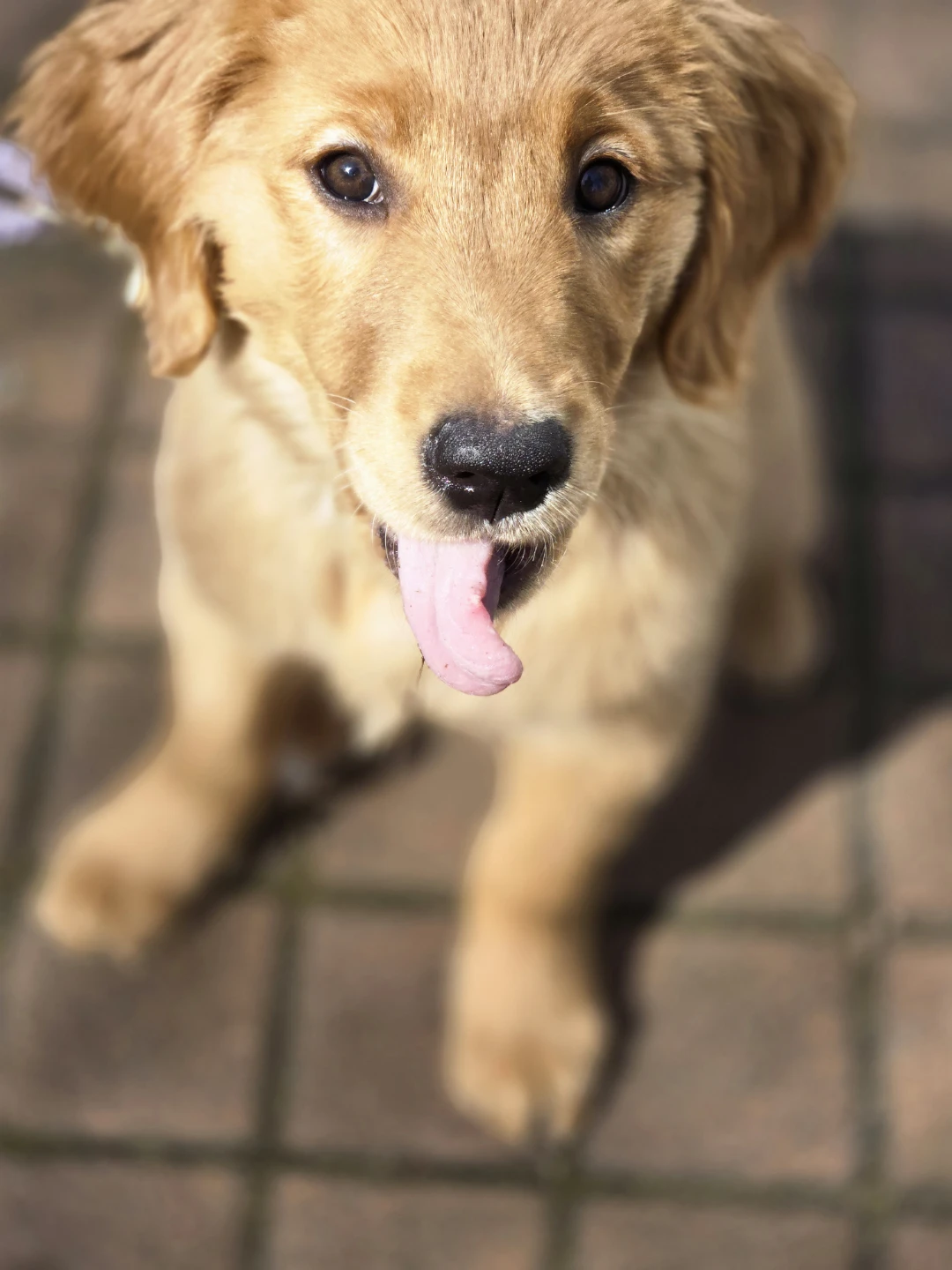 Steve profile