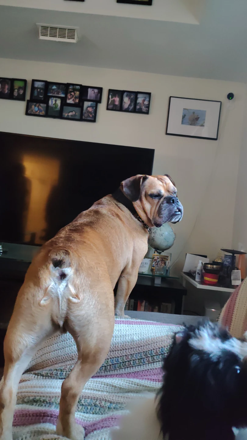 Arthur profile
