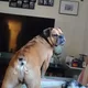 Arthur profile