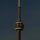 Jo profile