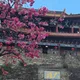 Nihao RL profile