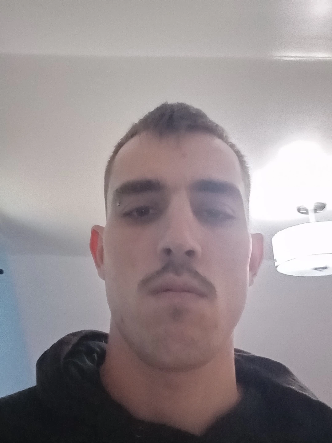 brodie profile