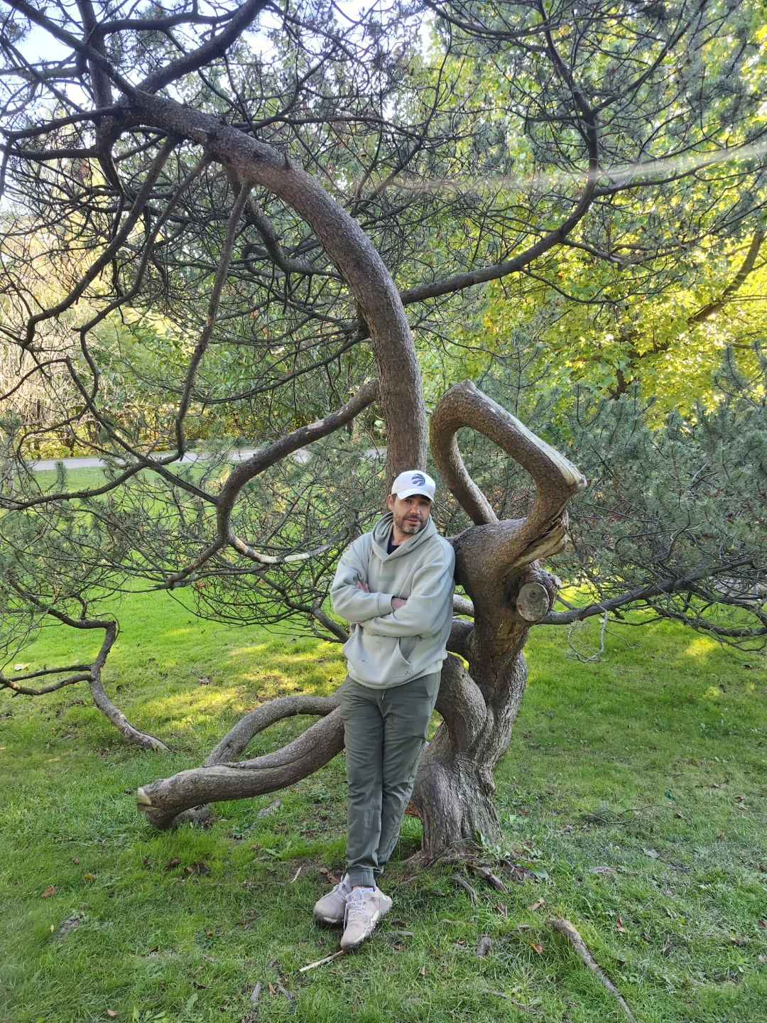 roy Pirooz profile