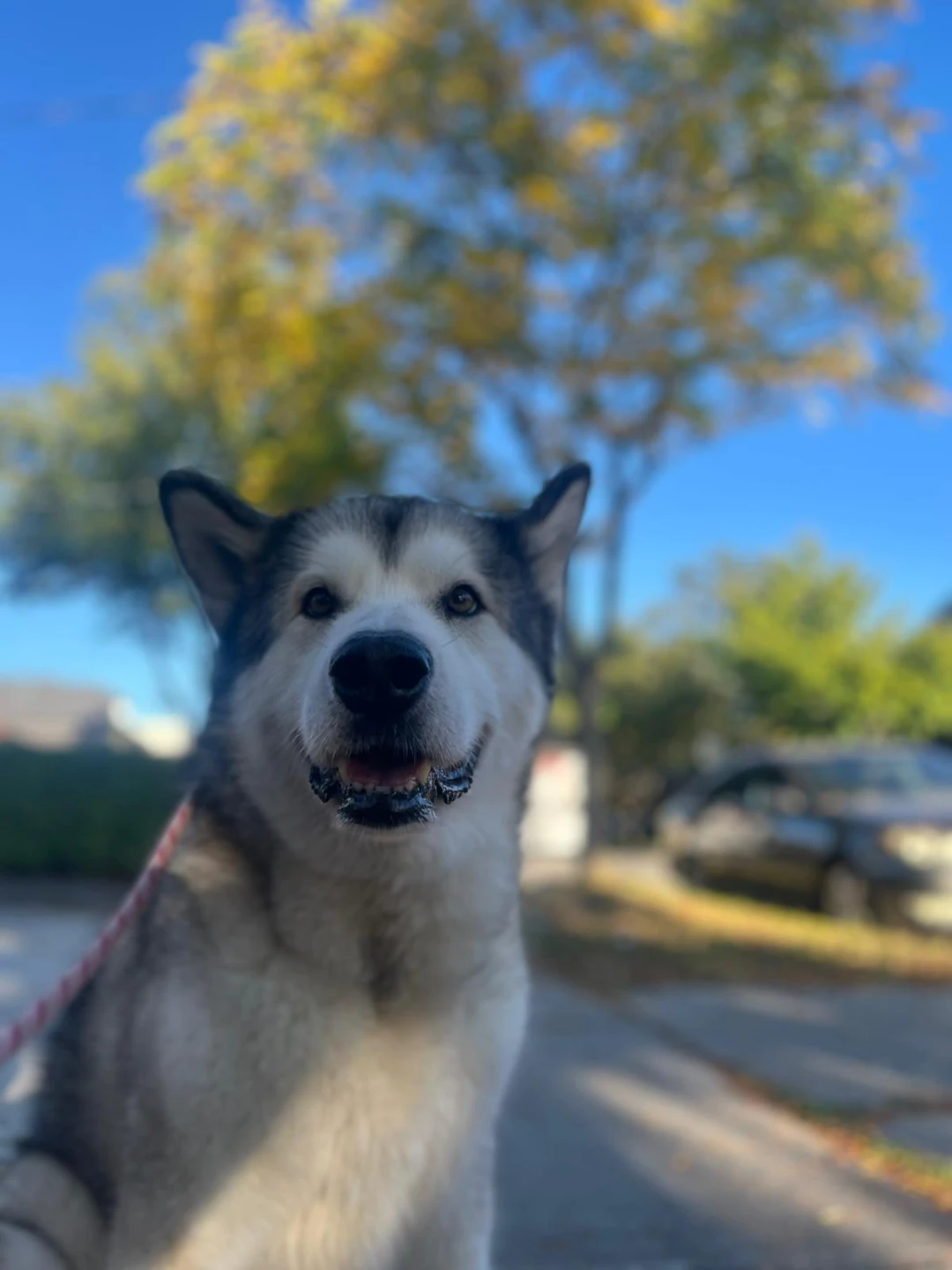 Cassie profile