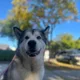 Cassie profile