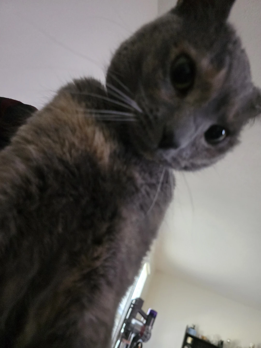 Eduardo profile