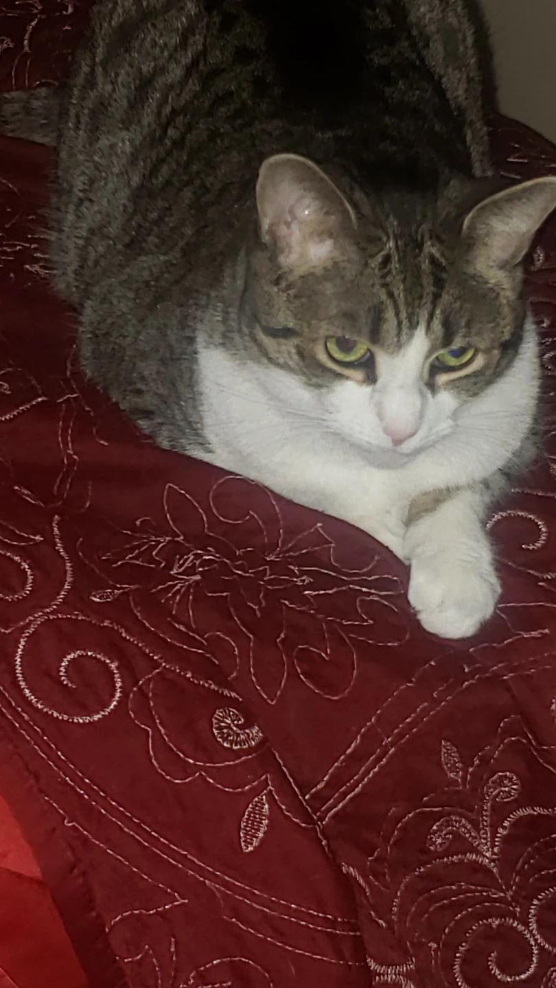 Rozi profile